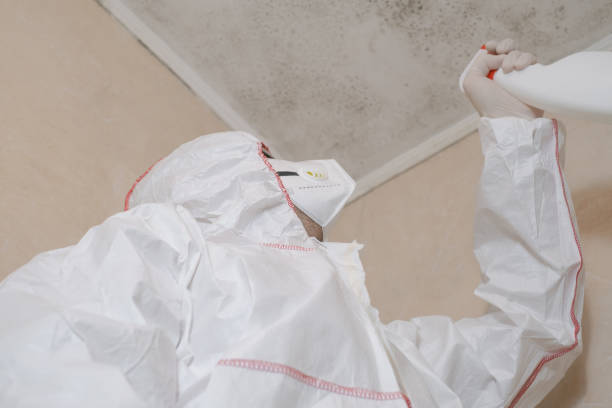 Mold Remediation for Rental Properties in Kannapolis, NC